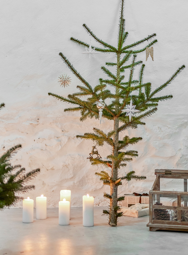 Star Ornament in natur aus FSC®-zertifiziertem Papier