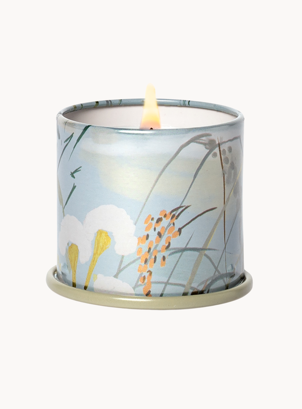 Fresh Sea Salt Duftkerze in Grün im Demi Vanity Tin