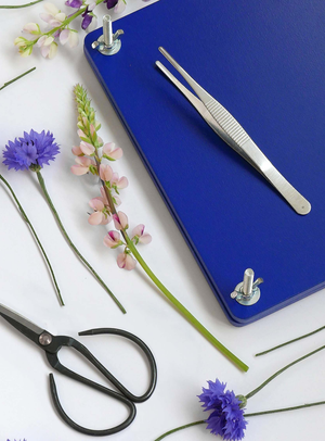 Flower Press Kit in dekorativer Box