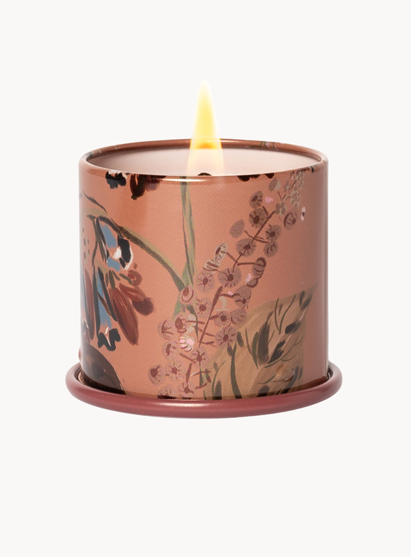 Terra Tabac Duftkerze in Braun