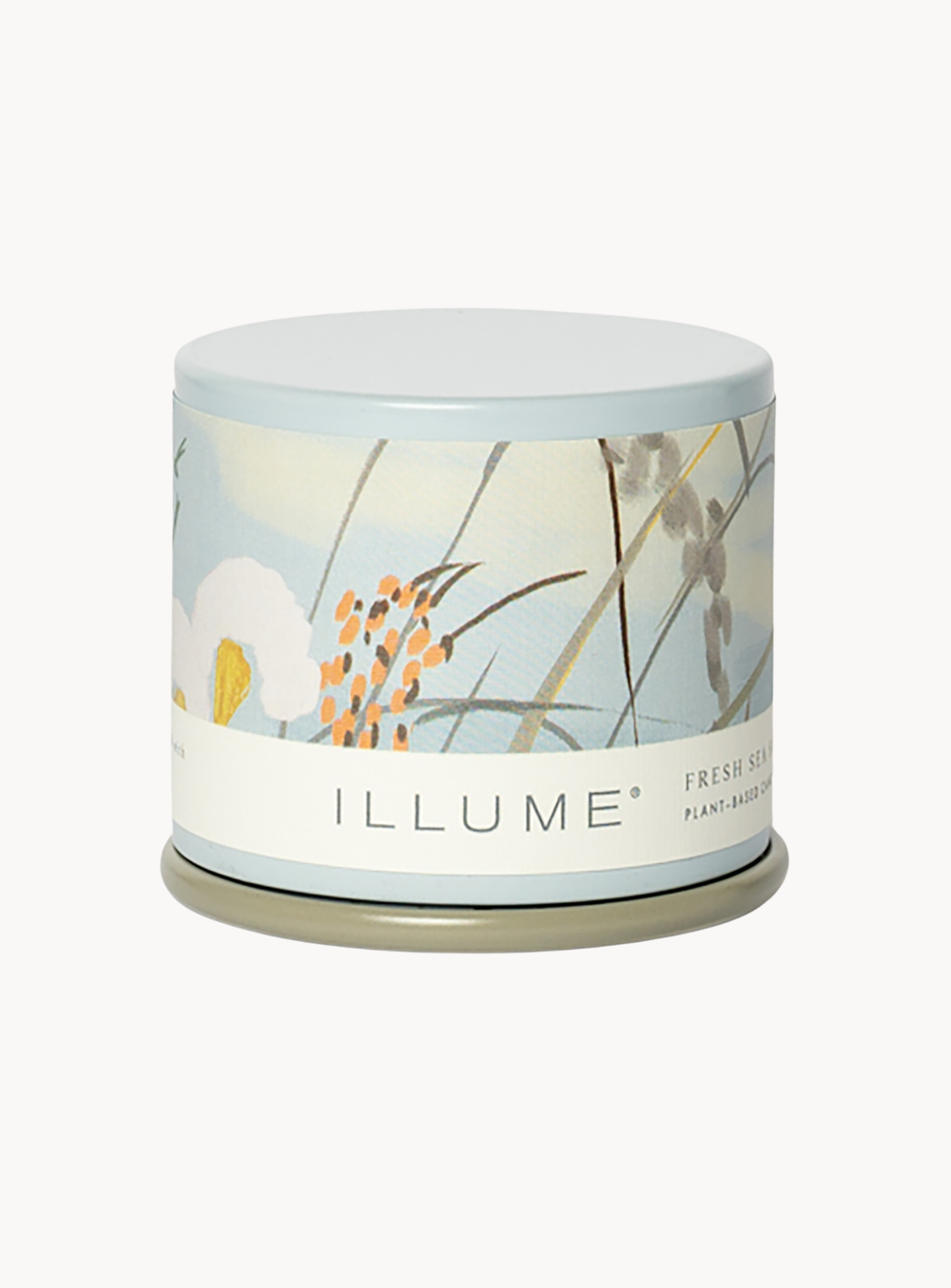 Fresh Sea Salt Duftkerze in Grün im Demi Vanity Tin