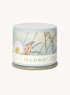 Fresh Sea Salt Duftkerze in Grün im Demi Vanity Tin