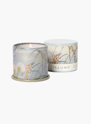 Fresh Sea Salt Duftkerze in Grün im Demi Vanity Tin