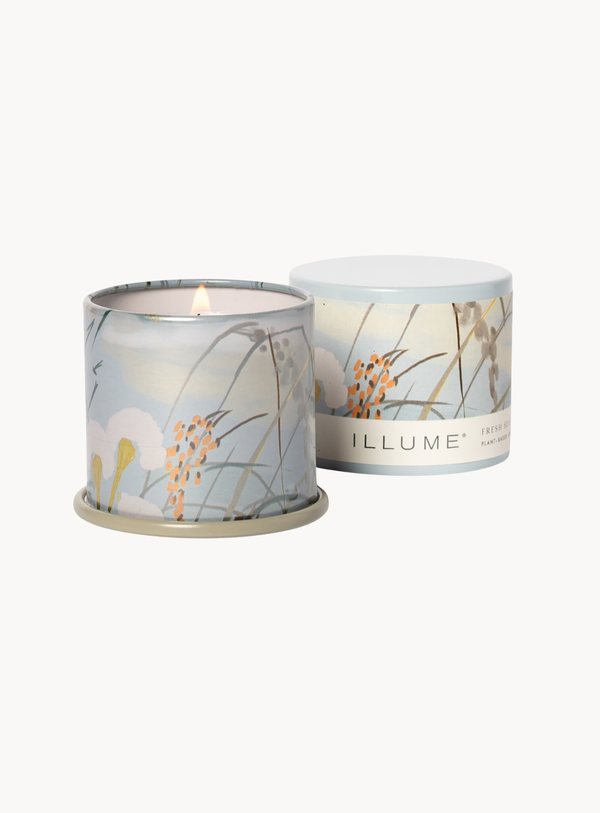 Fresh Sea Salt Duftkerze in Grün im Demi Vanity Tin