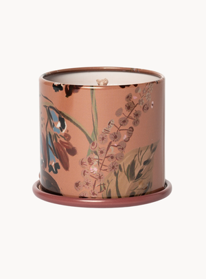 Terra Tabac Duftkerze in Braun