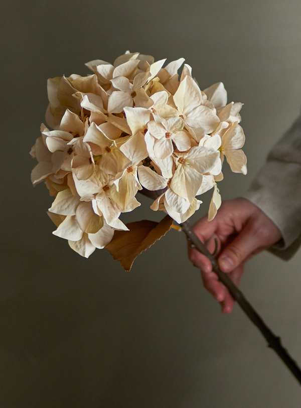 Künstlicher Hortensienstiel in Cremeweiß