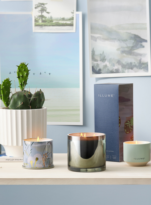 Fresh Sea Salt Duftkerze in Grün im Demi Vanity Tin