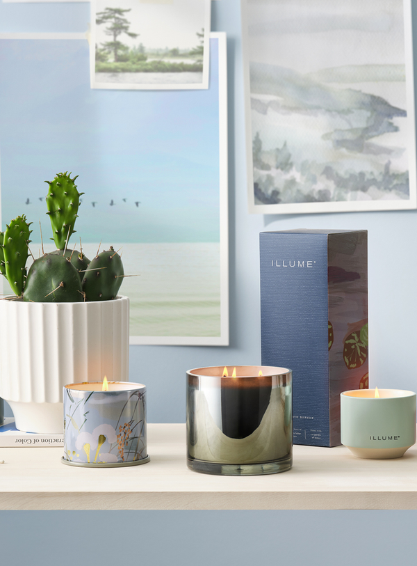 Fresh Sea Salt Duftkerze in Grün im Demi Vanity Tin