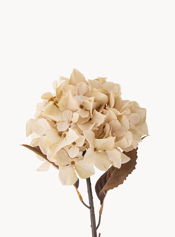 Künstlicher Hortensienstiel in Cremeweiß